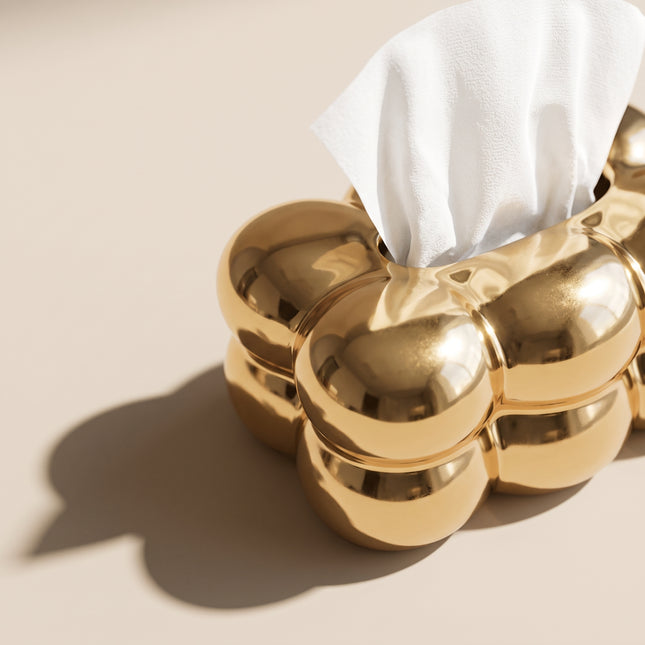 Cloud Chrome Tissue Box